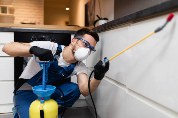 Best Wasp Removal Services  in Sawyerwood, OH