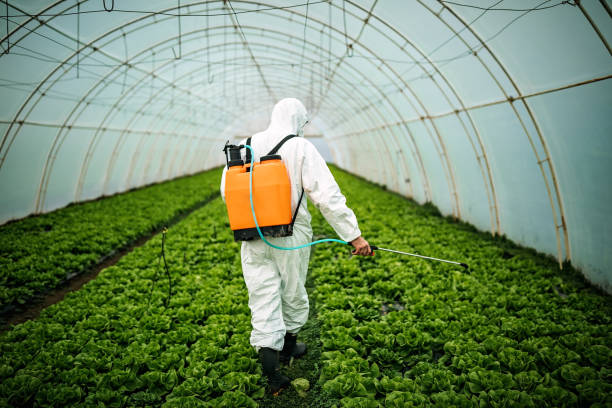 Best Commercial Pest Control Services  in Sawyerwood, OH