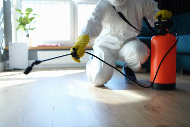 Flea Control Services in Sawyerwood, OH