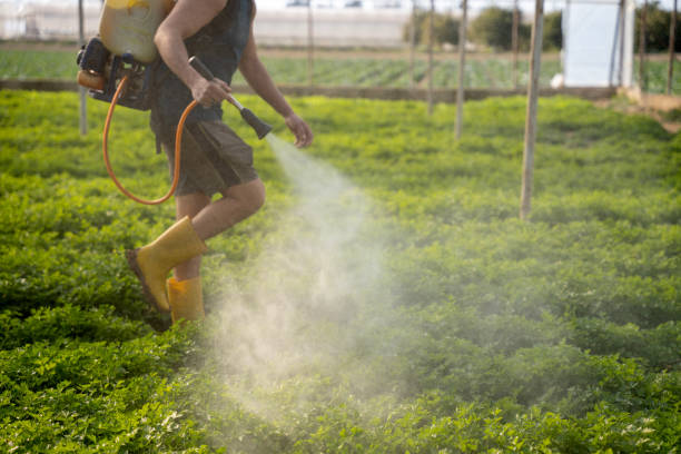 Best Best Pest Control Companies  in Sawyerwood, OH