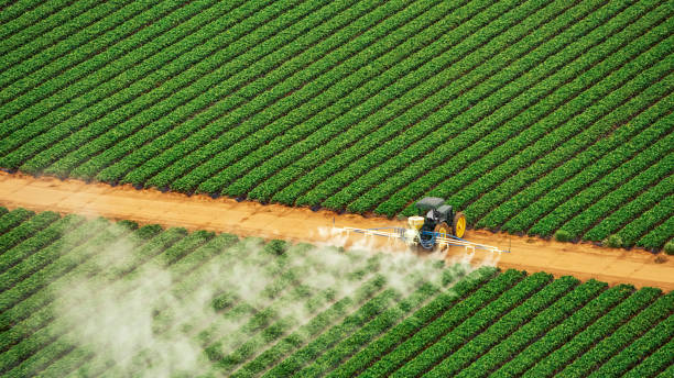 Best Affordable Exterminators  in Sawyerwood, OH