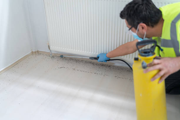 Best Exterminator Services  in Sawyerwood, OH